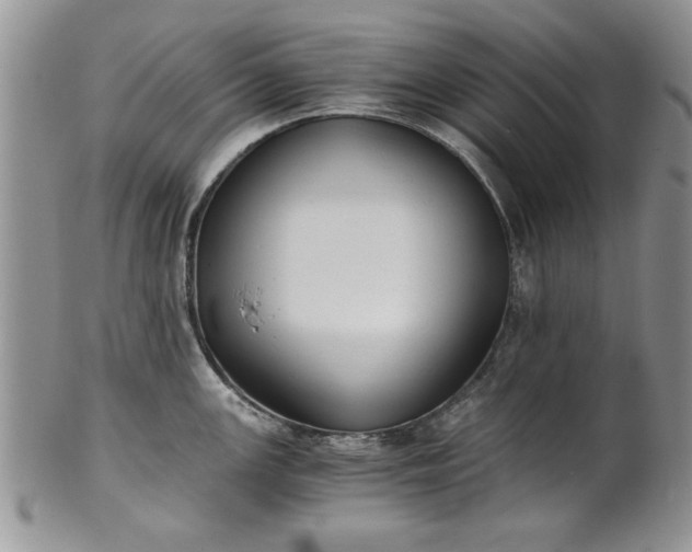 X0000101951147200808011040