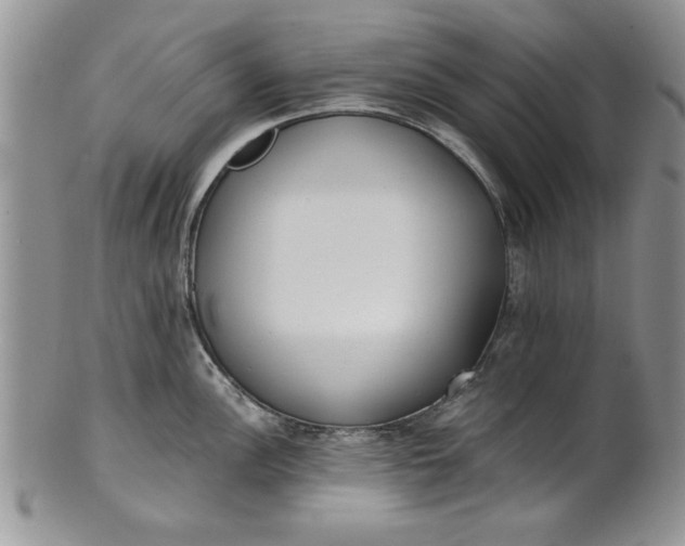 X0000101951148200808011040