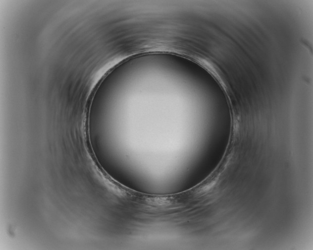 X0000101951149200808011040