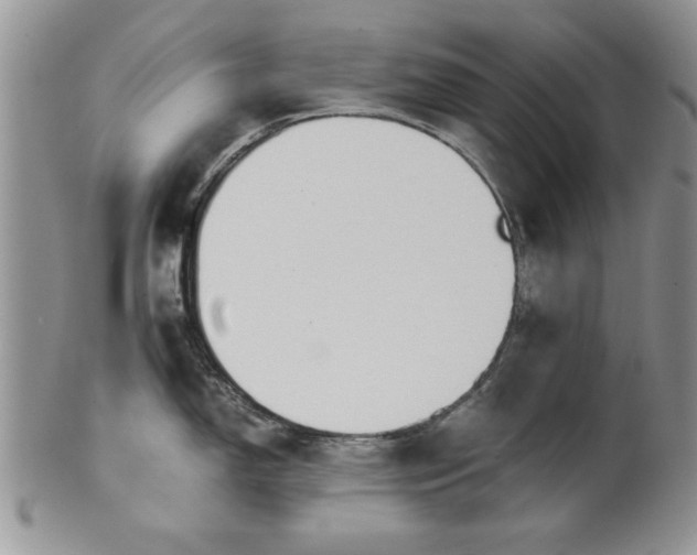 X0000101951150200808011040