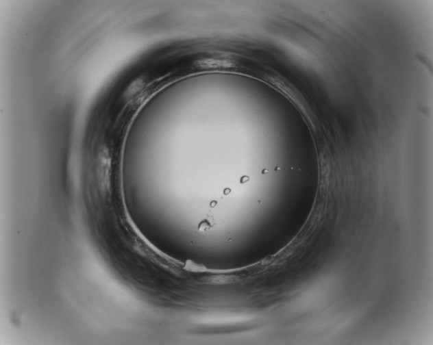 X0000101951151200808011040