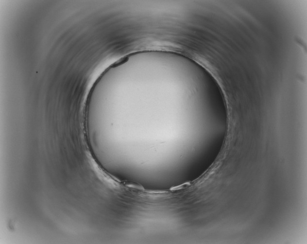 X0000101951152200808011040