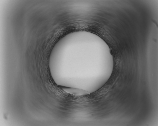 X0000101951153200808011039