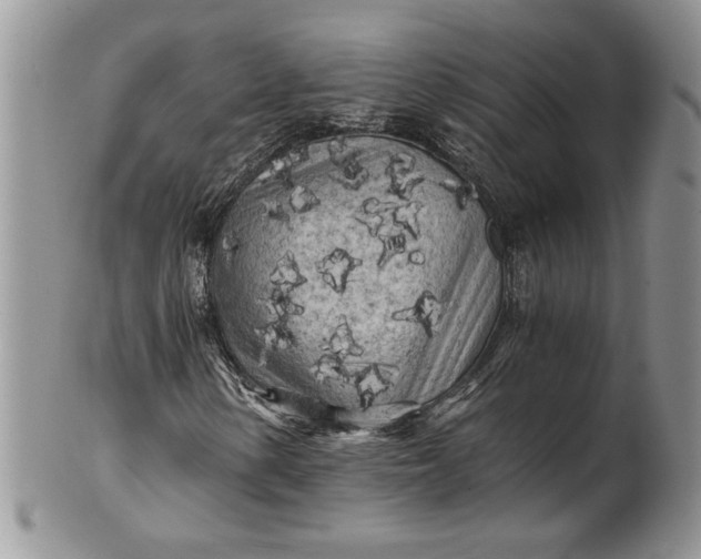 X0000101951154200808011039