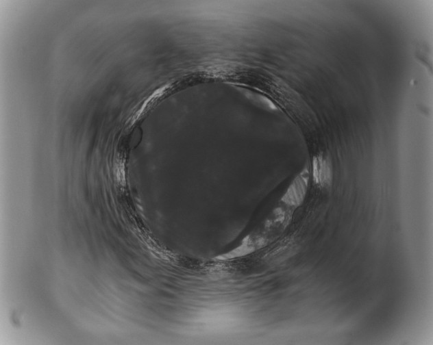 X0000101951155200808011039