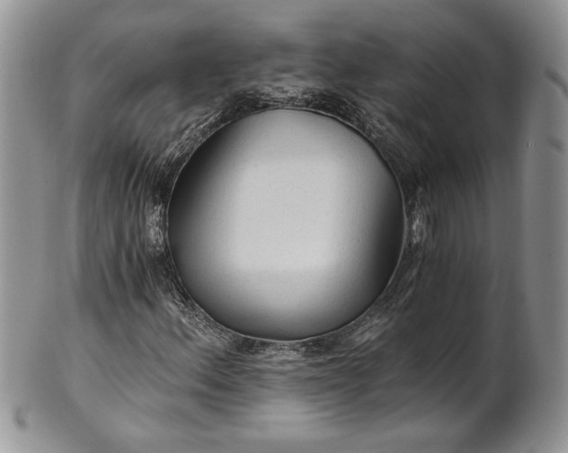 X0000101951156200808011039