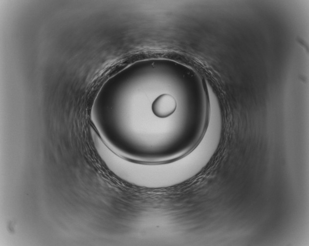 X0000101951157200808011039