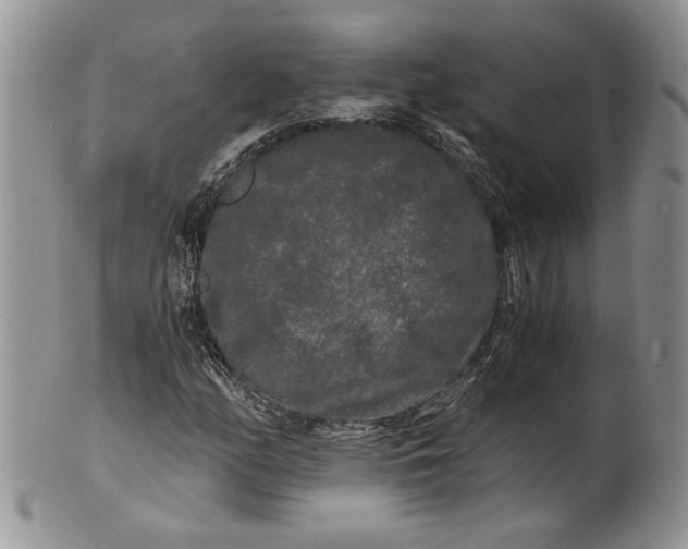 X0000101951158200808011039