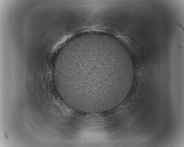 X0000101951159200808011039