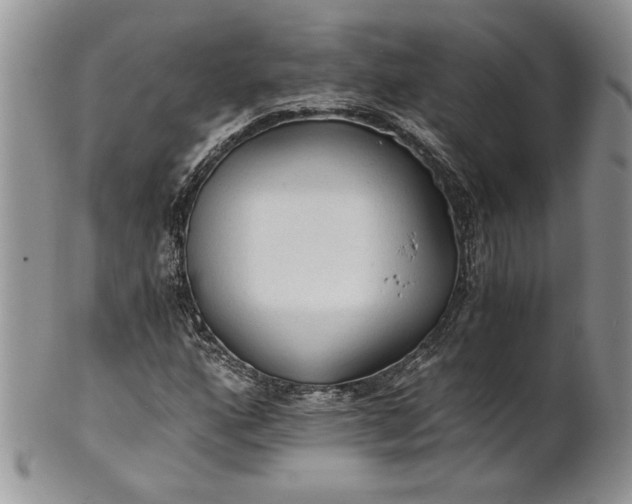 X0000101951160200808011039