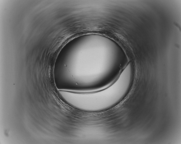 X0000101951161200808011039