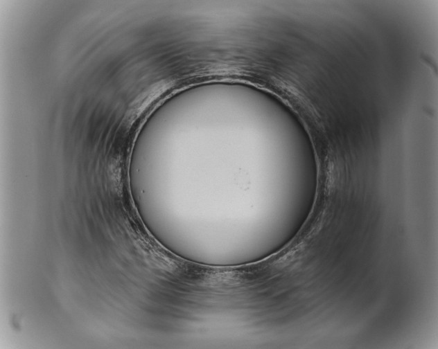 X0000101951162200808011039