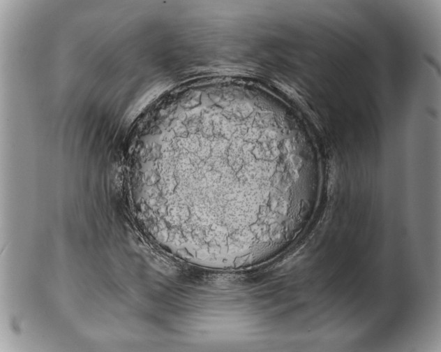 X0000101951163200808011039