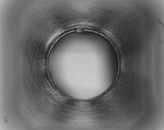 X0000101951164200808011039