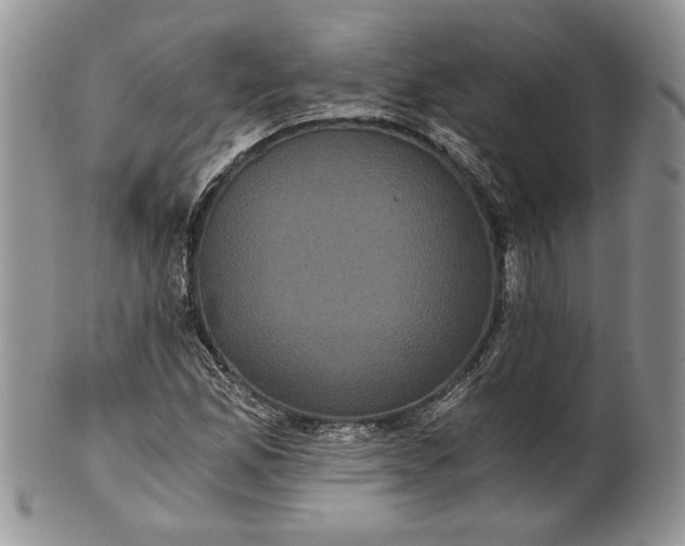 X0000101951165200808011039