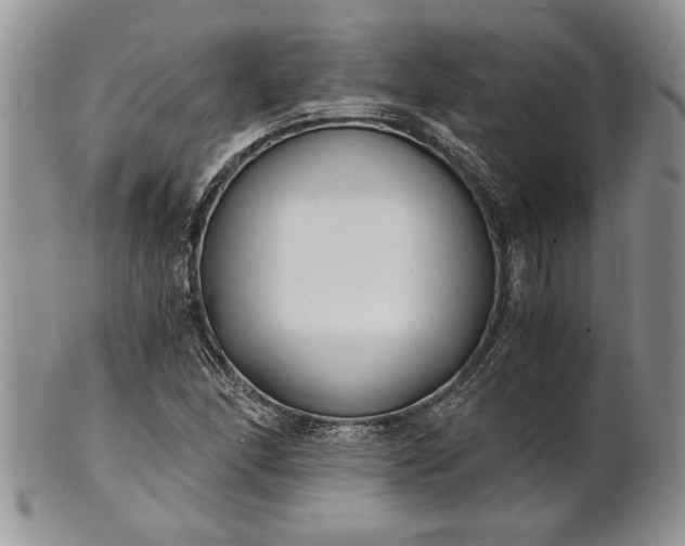 X0000101951166200808011039