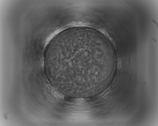 X0000101951167200808011039