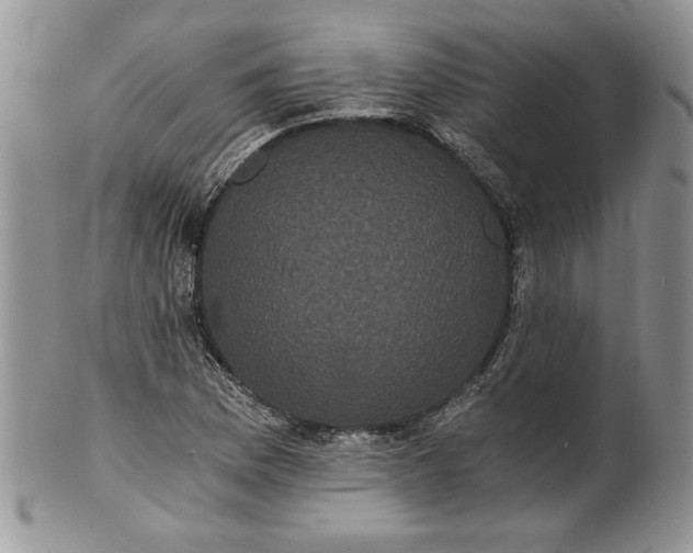 X0000101951169200808011039