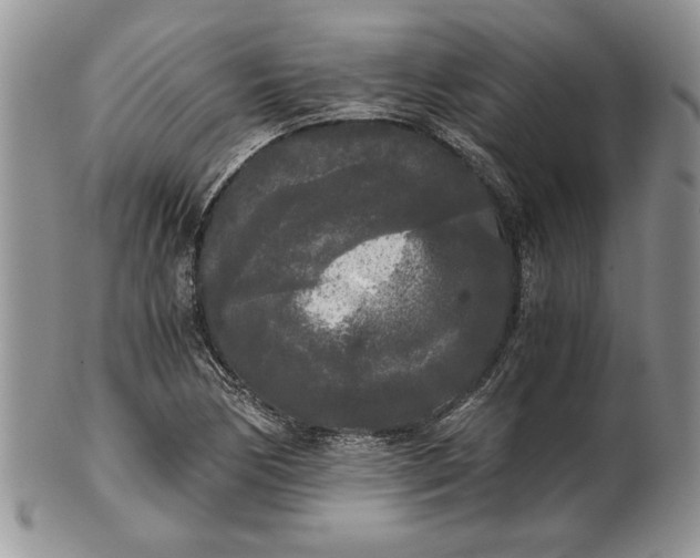 X0000101951170200808011039