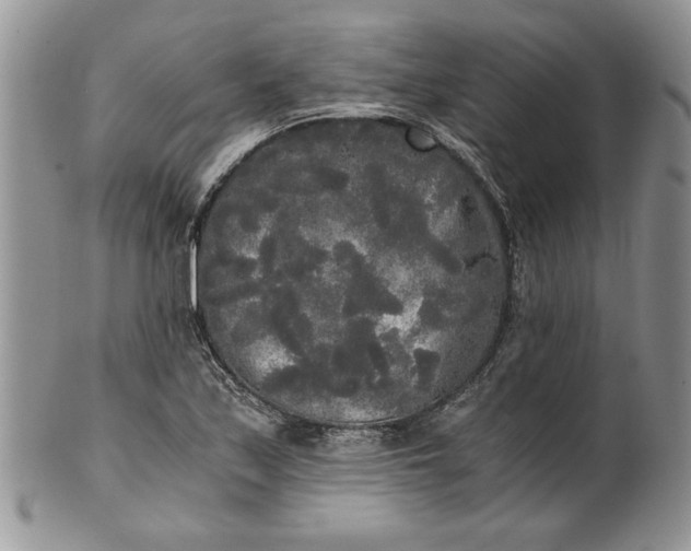 X0000101951171200808011039