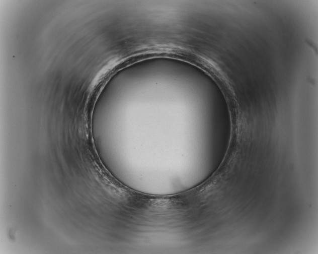 X0000101951172200808011039