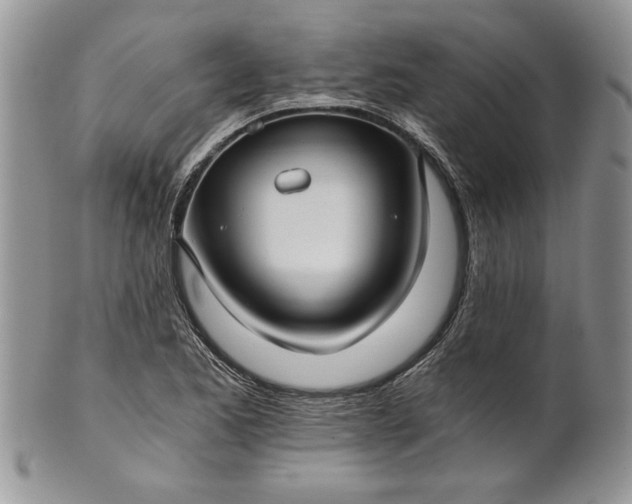 X0000101951173200808011039