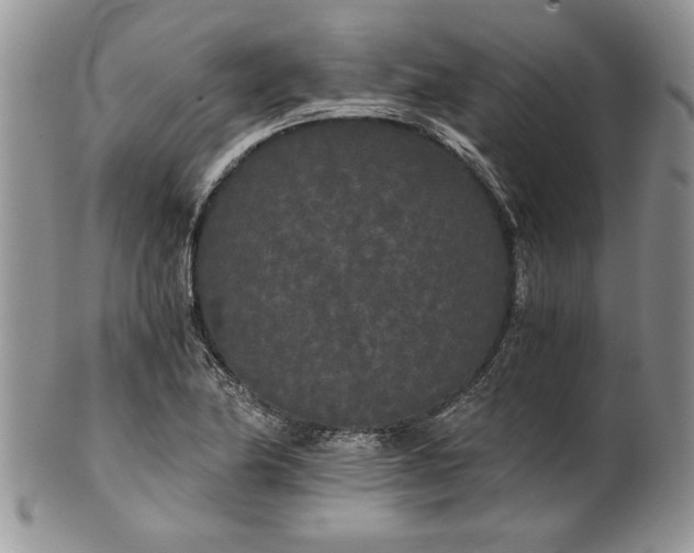 X0000101951174200808011039