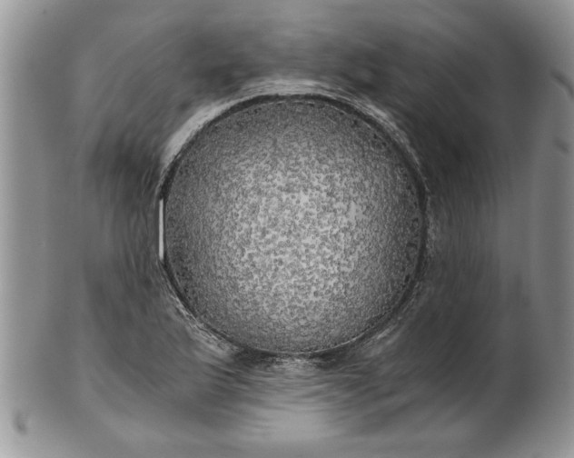 X0000101951175200808011039