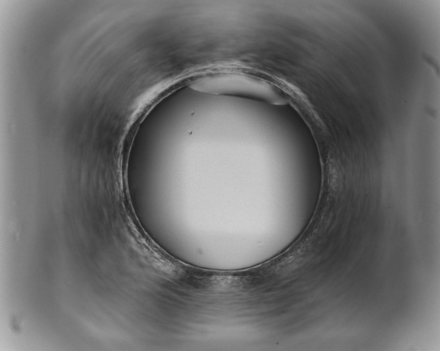 X0000101951176200808011039