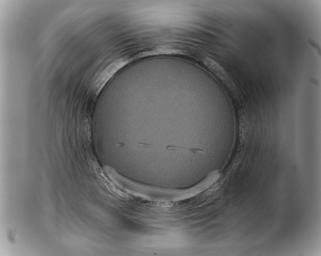 X0000101951177200808011039