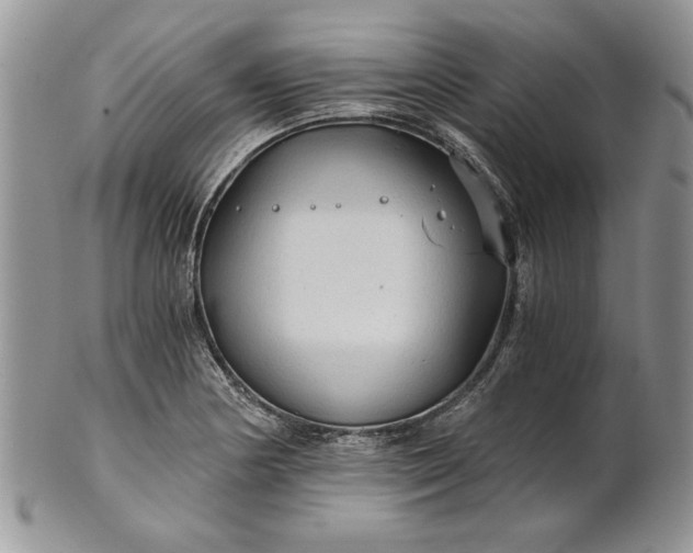 X0000101951178200808011039