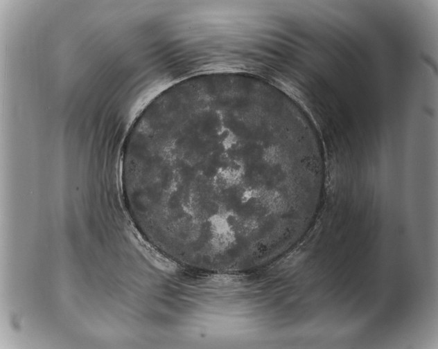 X0000101951179200808011039