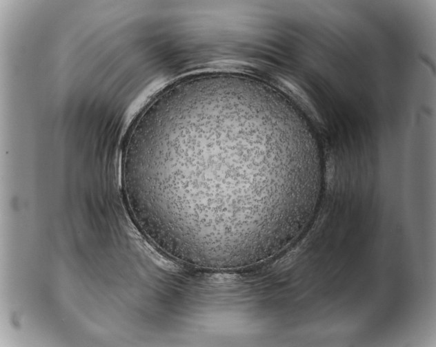 X0000101951180200808011039