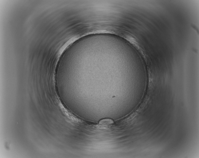 X0000101951181200808011039