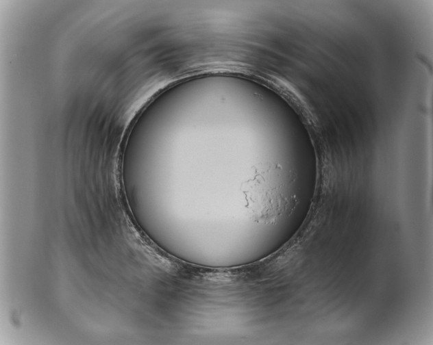 X0000101951182200808011039