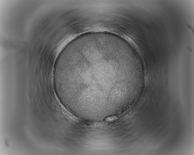 X0000101951183200808011039