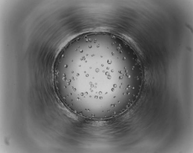 X0000101951184200808011039