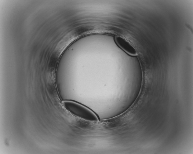 X0000101951185200808011039