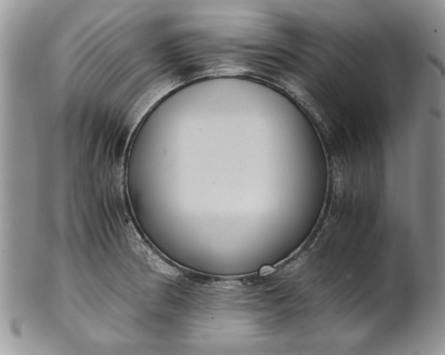 X0000101951186200808011039