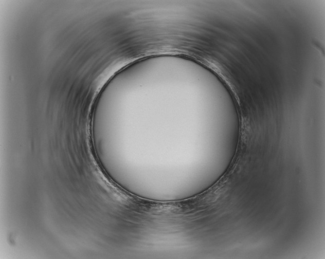 X0000101951187200808011039