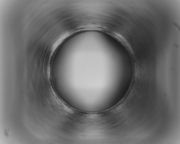 X0000101951188200808011039