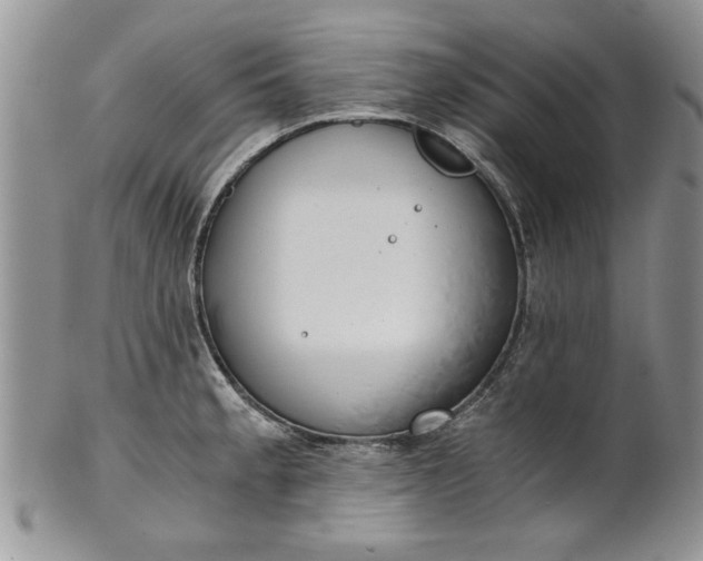 X0000101951189200808011039