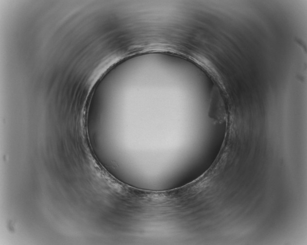 X0000101951190200808011039