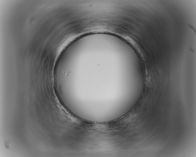 X0000101951191200808011039