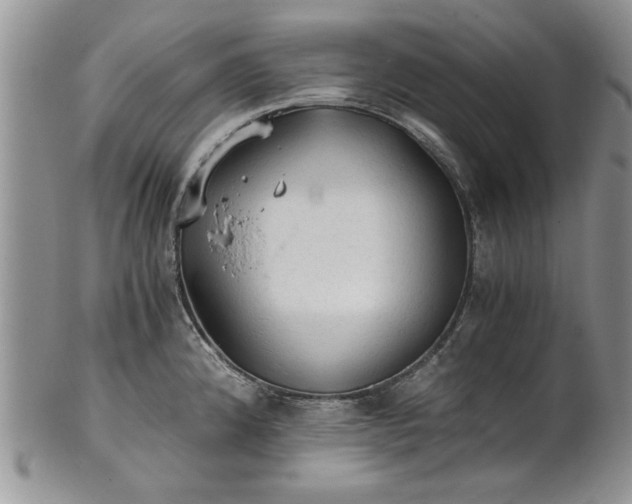 X0000101951192200808011039