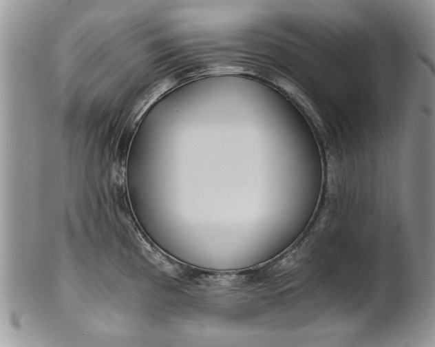 X0000101951193200808011039