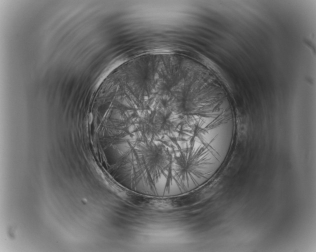 X0000101951194200808011039