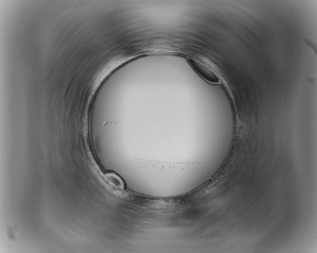 X0000101951195200808011039