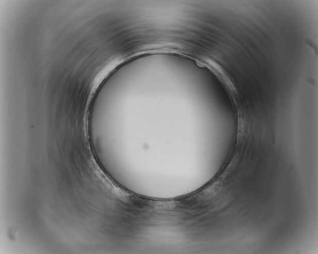 X0000101951196200808011039