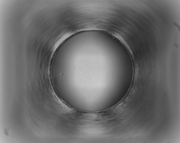 X0000101951197200808011039